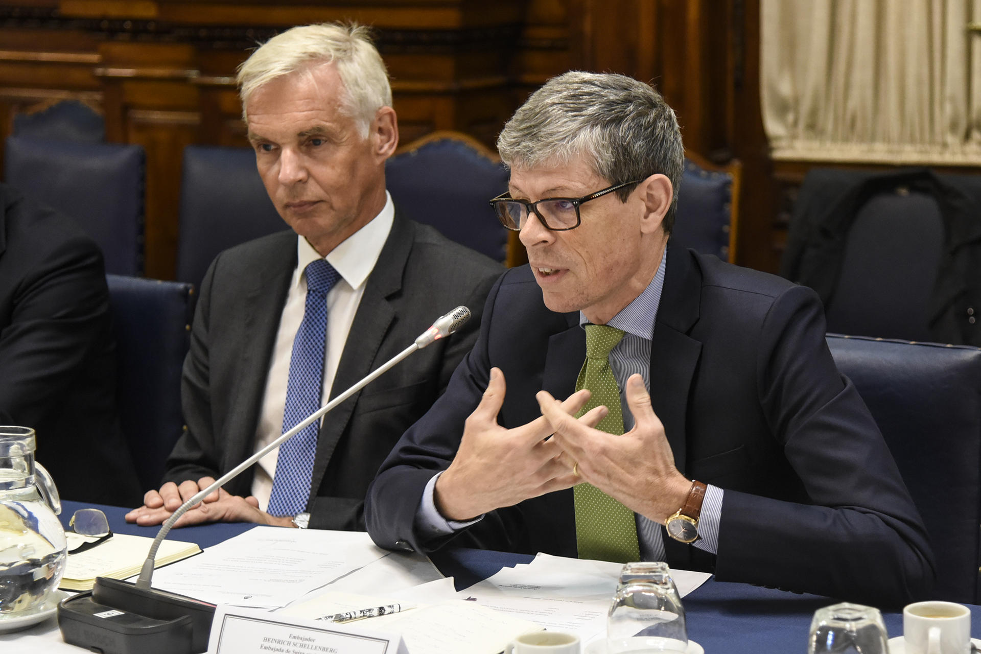 Galeria de imagenes de la noticia SE CONFORMARON LOS GRUPOS DE AMISTAD CON NORUEGA, SUIZA Y CON EL GRUPO REGIONAL EFTA